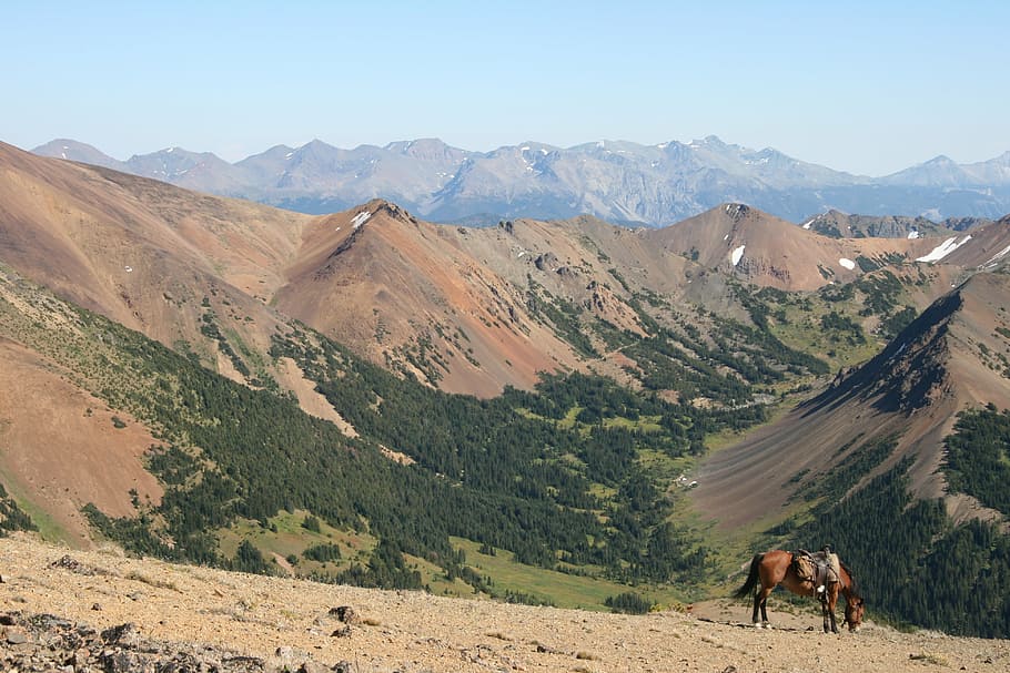 canada, chilcotin, mountains, blue sky, horse, windy pass, wilderness HD wallpaper