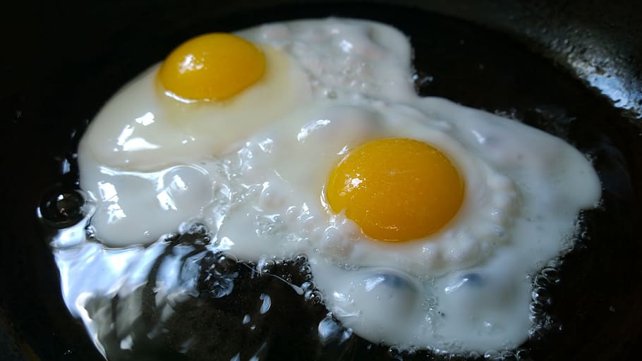 two fried eggs, breakfast, food, kitchen, proteins, egg yolk HD wallpaper
