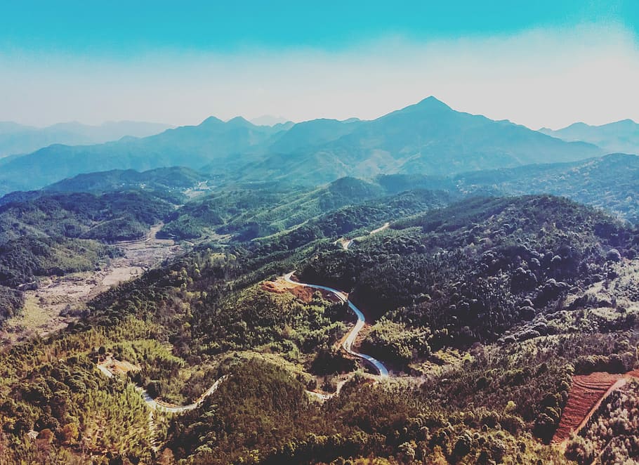 winding road at middle of forests, landscape photography of mountain HD wallpaper