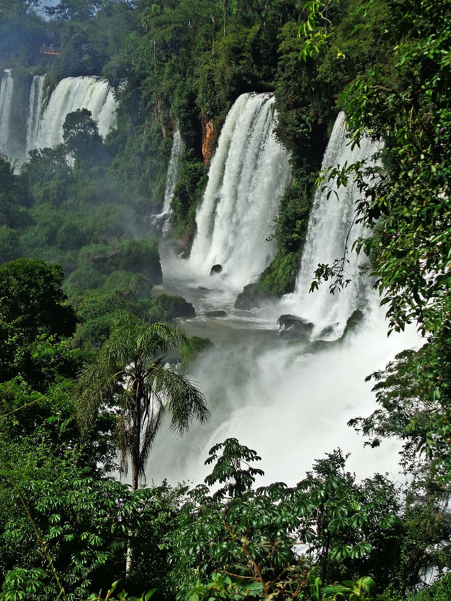 cataratas do iguaçu, brazil, waterfall, river, nature, forest, HD wallpaper