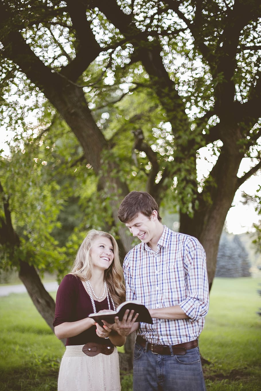affection, couple, grass, happy, man, outdoors, park, tree HD wallpaper