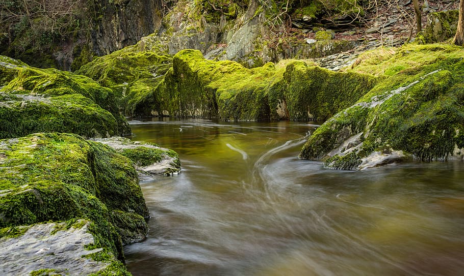time-lapse photography of running river water surrounded with green moss covered gray rocks during daytime HD wallpaper