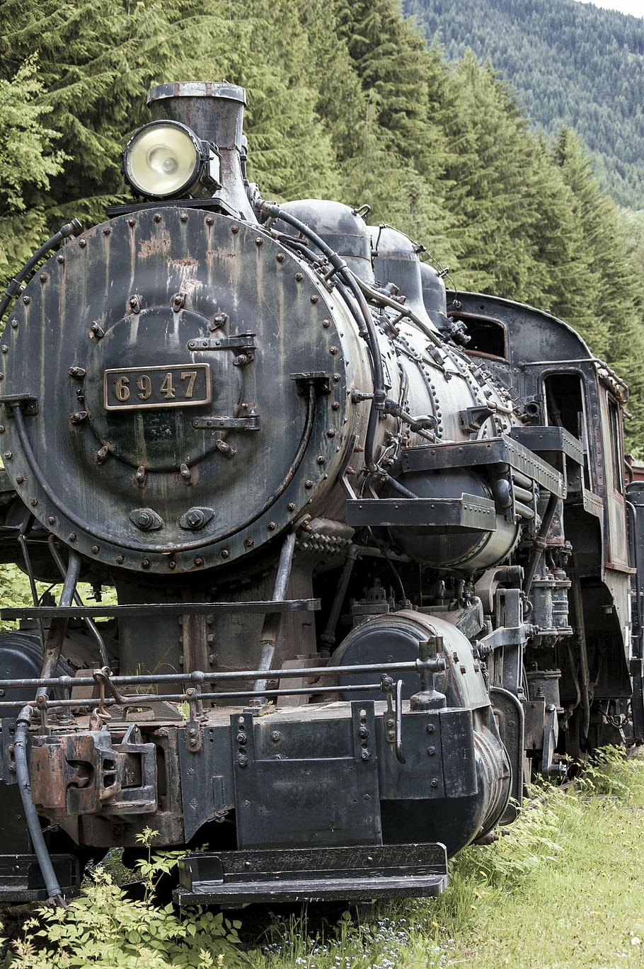 photography of black train surrounded by forest trees outdoors HD wallpaper