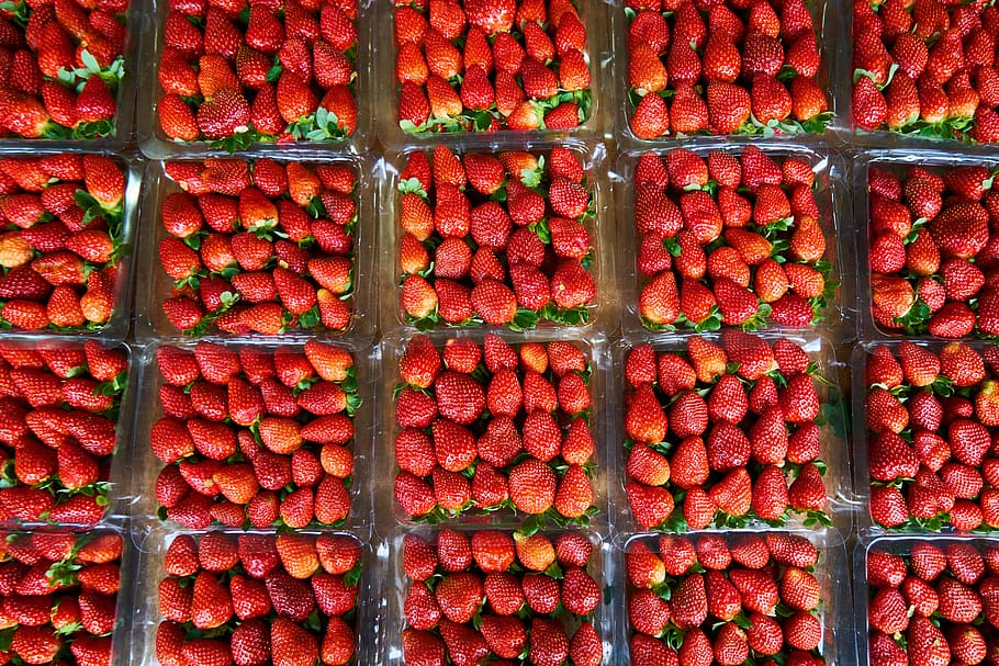 Strawberry, Fruit, Fresh, Beautiful, red, sunday, garden, healthy HD wallpaper