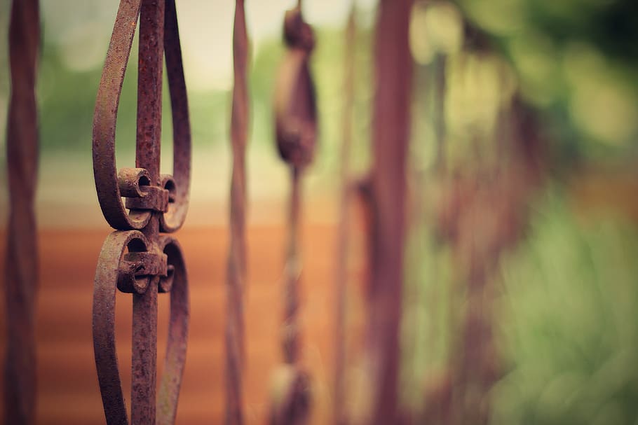 old iron fence, fencing, forged, metal, background, rust, cemetery, HD wallpaper