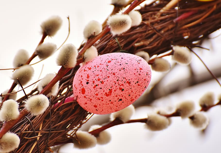 pink egg decorr, pussy willow, spring, easter egg, color, colorful HD wallpaper