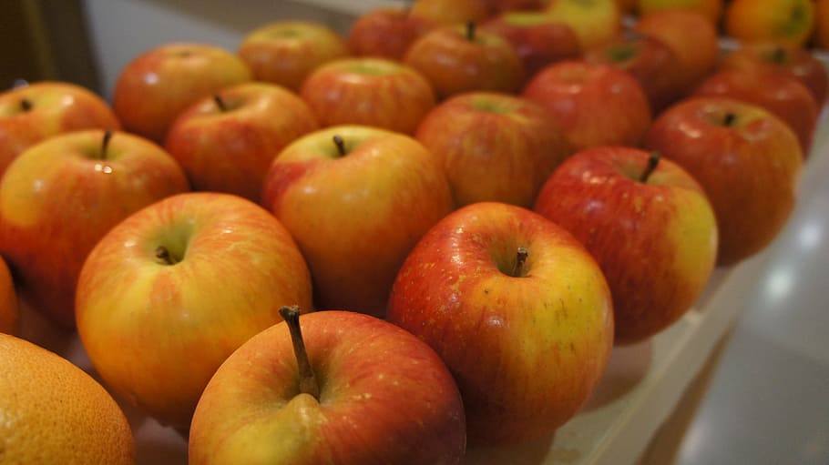 apel apple, fruit, fresh, vitamins, market, food and drink HD wallpaper