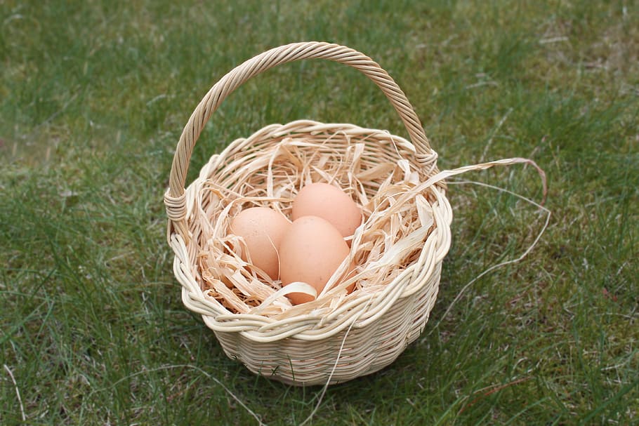easter, egg, basket, nest, easter eggs, easter greetings, fragility HD wallpaper