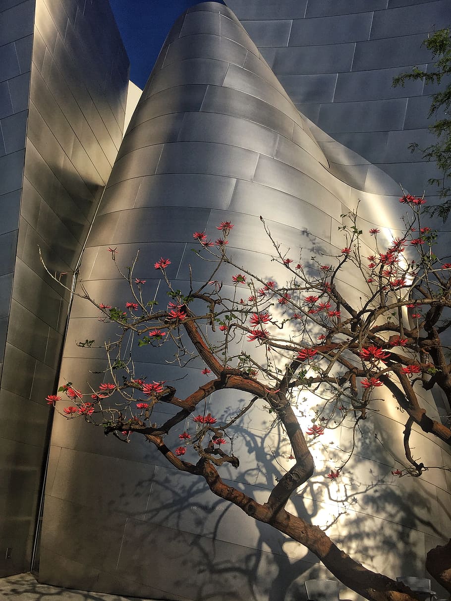 Architecture, Design, Flowers, Building, construction, new HD wallpaper
