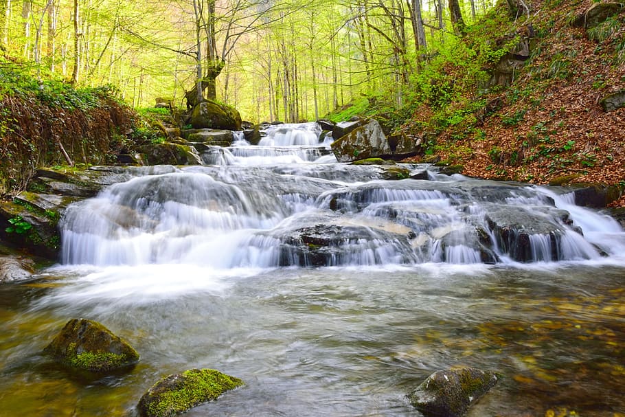 water stream near trees and stones, nature, river, waterfall HD wallpaper