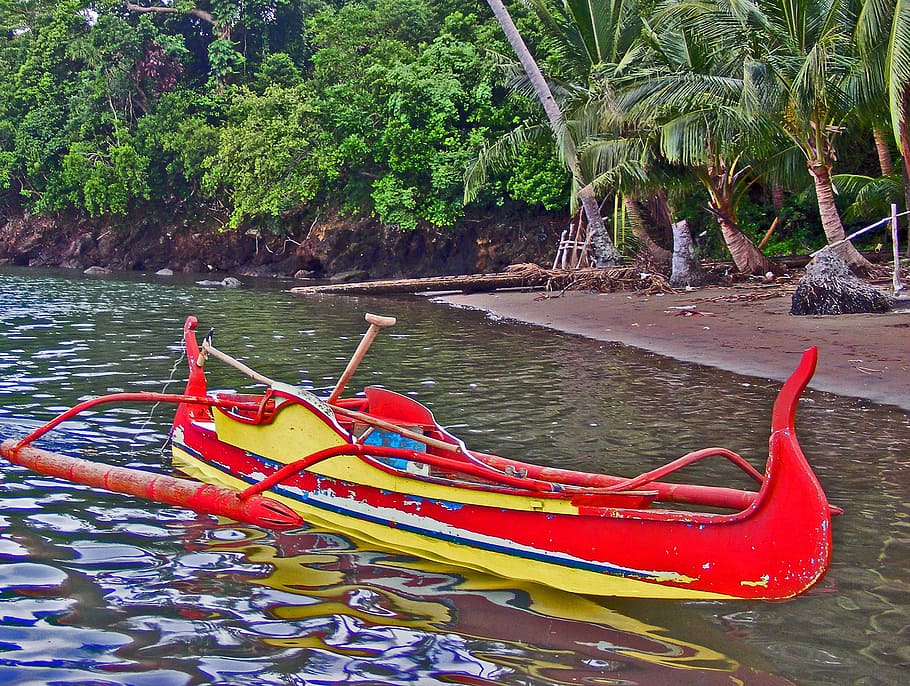 banka, boat, water, tree, nautical vessel, plant, transportation HD wallpaper