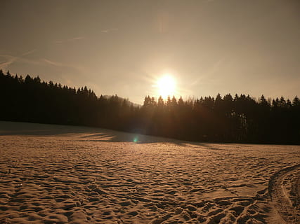 sunset, winter, sky, snow, trees, wintry, landscape, snowfield HD wallpaper
