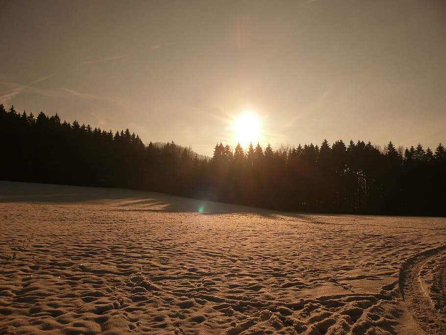 sunset, winter, sky, snow, trees, wintry, landscape, snowfield HD wallpaper