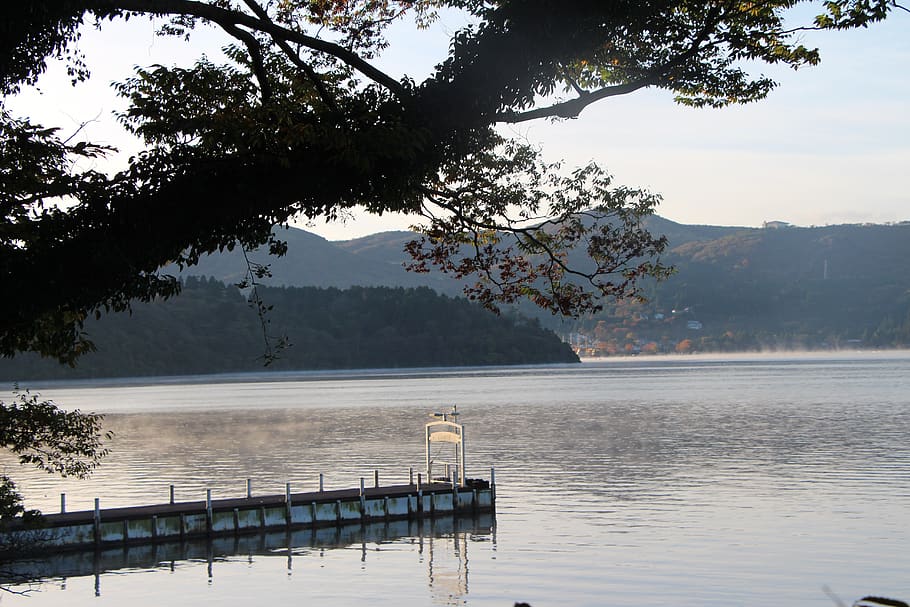 water, nature, tree, landscape, plant, lake, tranquility, beauty in nature HD wallpaper