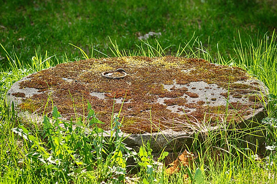 manhole covers, outdoors, grass, plant, field, nature, land HD wallpaper