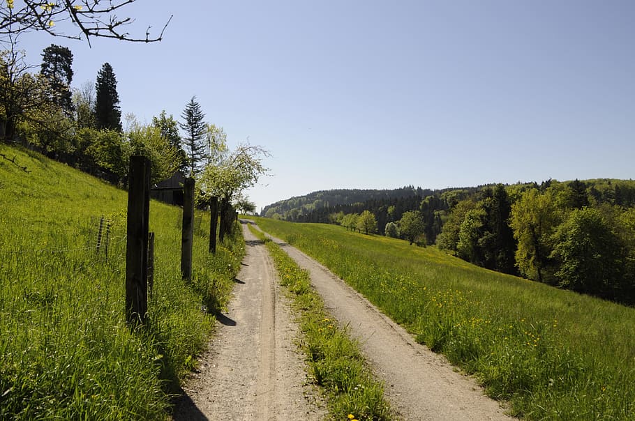 Away, Spring, Switzerland, nature, rural Scene, landscape, tree HD wallpaper