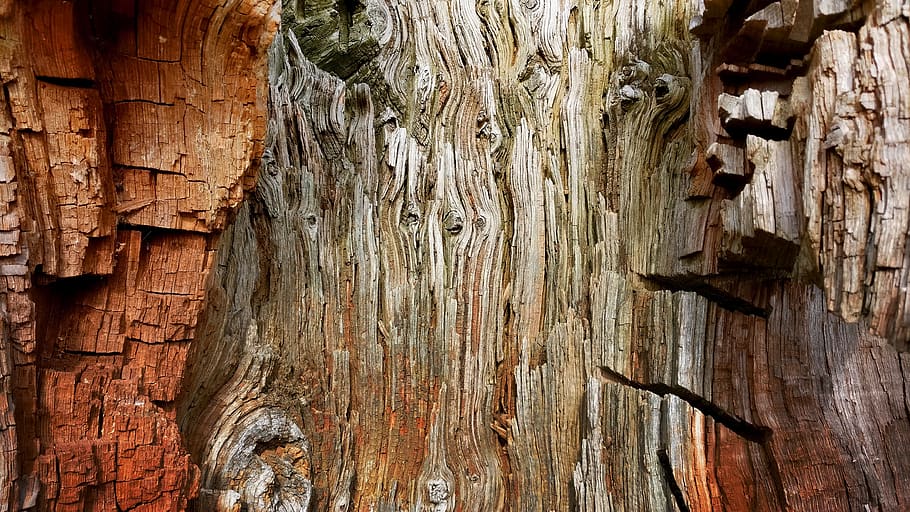 old, wood, tree, desktop, bark, textured, wood - material, full frame HD wallpaper