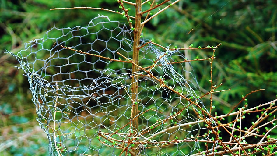 wire mesh, wire mesh fence, old, broken, rusted, metal, wire meshes, HD wallpaper