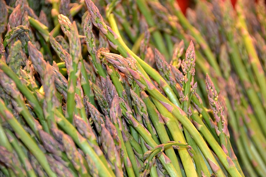 Asparagus, Vegetable, Green, green color, food and drink, full frame HD wallpaper