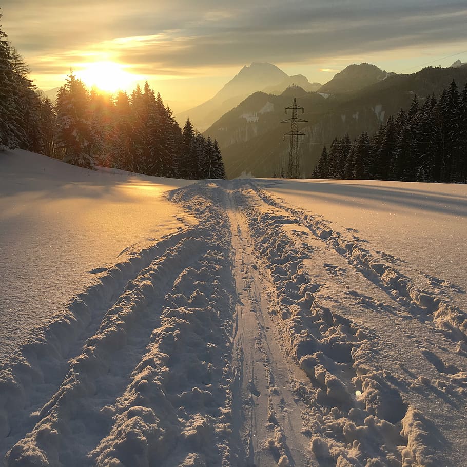 photo of snow covered ground and trees at sunrise, winter, mountains HD wallpaper