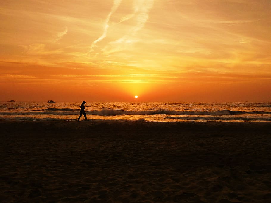 alone, backlit, beach, dawn, dusk, evening, landscape, nature HD wallpaper