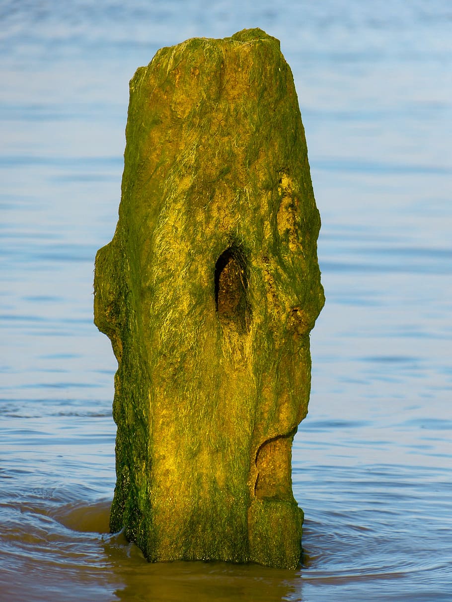 post, pile, water, face, wood pile, wooden posts, no people HD wallpaper