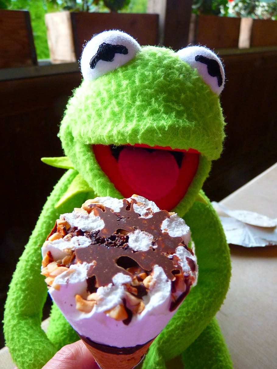 frog, kermit, eat, ice, hunger, close-up, food and drink, sweet food HD wallpaper