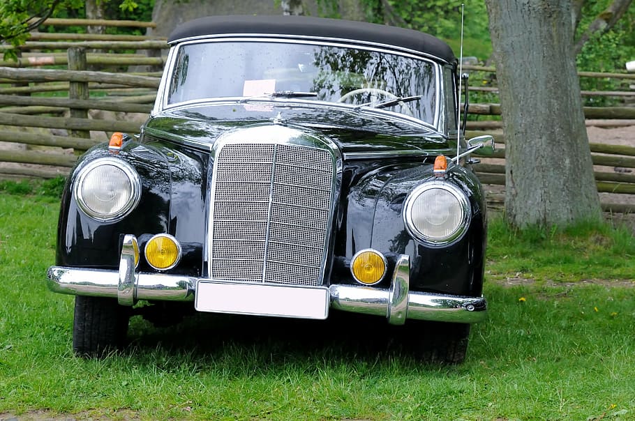 classic black car parked near tree, oldtimer, auto, daimler HD wallpaper