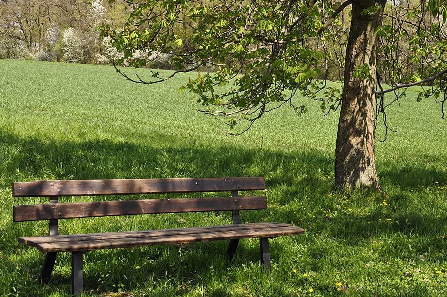 Rest, Serenity, Break, Hiking, Bank, nature, rush, bench, grass HD wallpaper