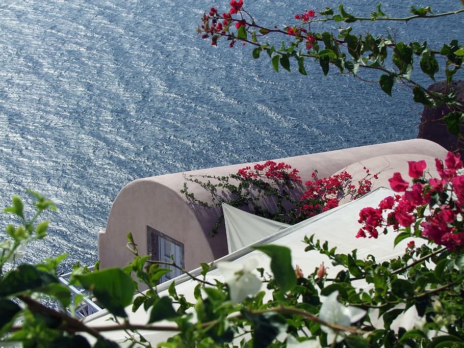 house by the sea, the crater rim, cycladic style, bougainville, HD wallpaper