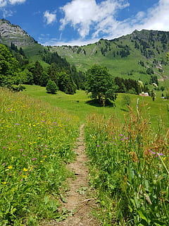 trail, mountain, nature, path, hiking, hike, sky, landscape HD wallpaper