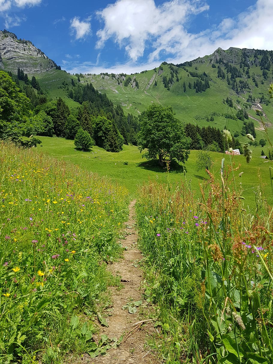 trail, mountain, nature, path, hiking, hike, sky, landscape HD wallpaper
