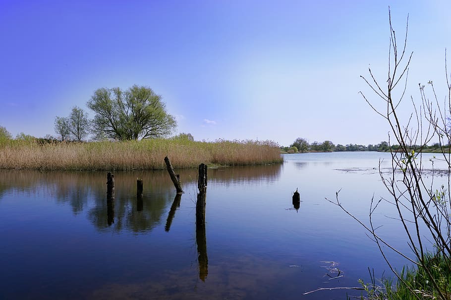 summer time, lake, water, reflection, plant, tree, sky, tranquility HD wallpaper