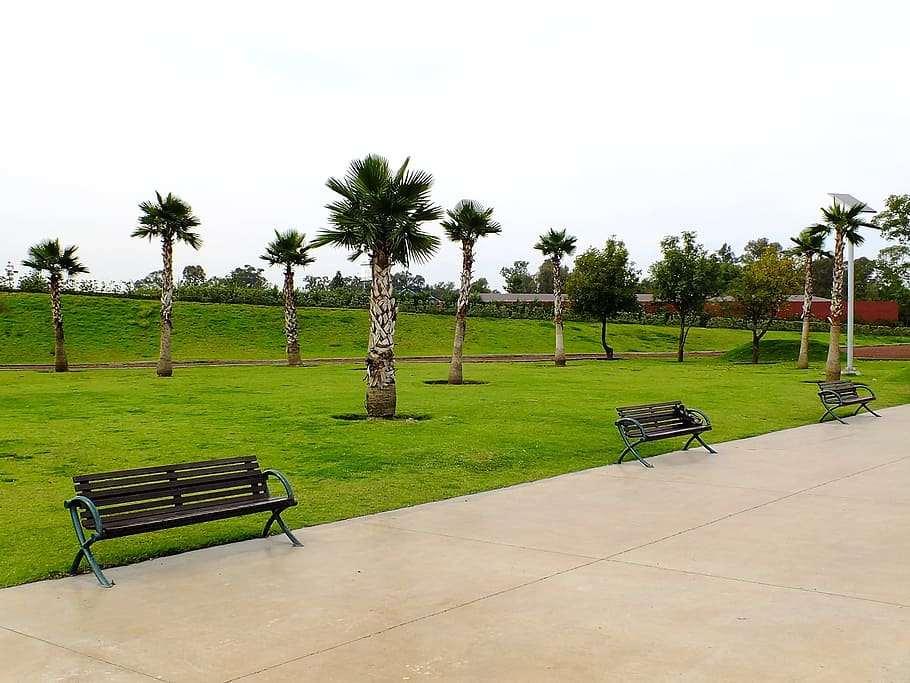 Earth, Spring, Architecture, park, perspective, monument, trees HD wallpaper