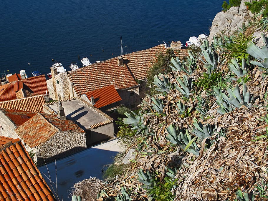 Split, Croatia, Sea, Seaview, Vegetation, mediterranean, europe HD wallpaper