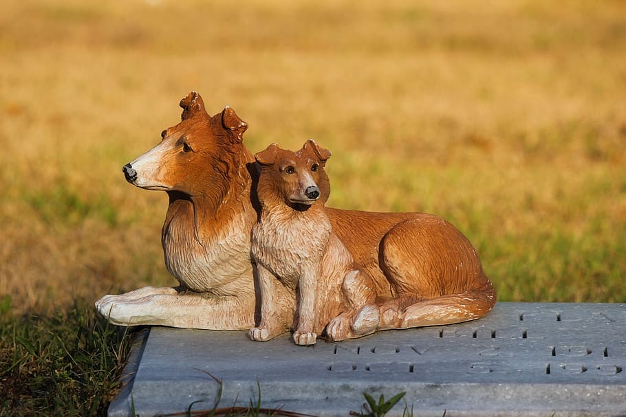 dog, doges, ceramic, grave, headstone, grass, nature, outside HD wallpaper