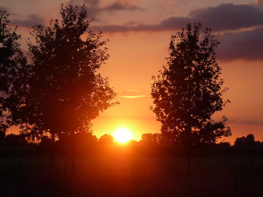 summer, sunset, above, landscape, gelderland, air, clouds, tree HD wallpaper