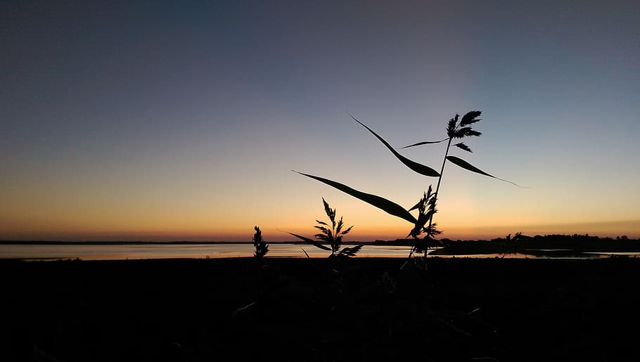sol, evening, sunset, sky, silhouette, beauty in nature, scenics - nature HD wallpaper