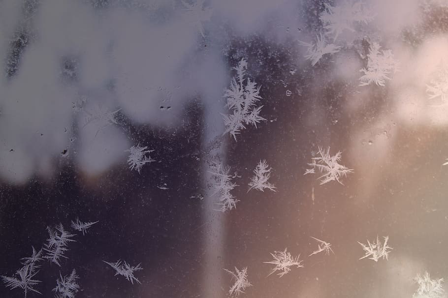 Snow, Winter, Snowflake, Christmas, ze, frozen, cold temperature HD wallpaper