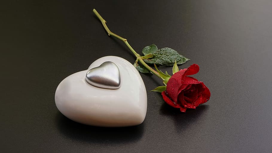 red rose on black table, heart of stone, silver heart, still life, HD wallpaper