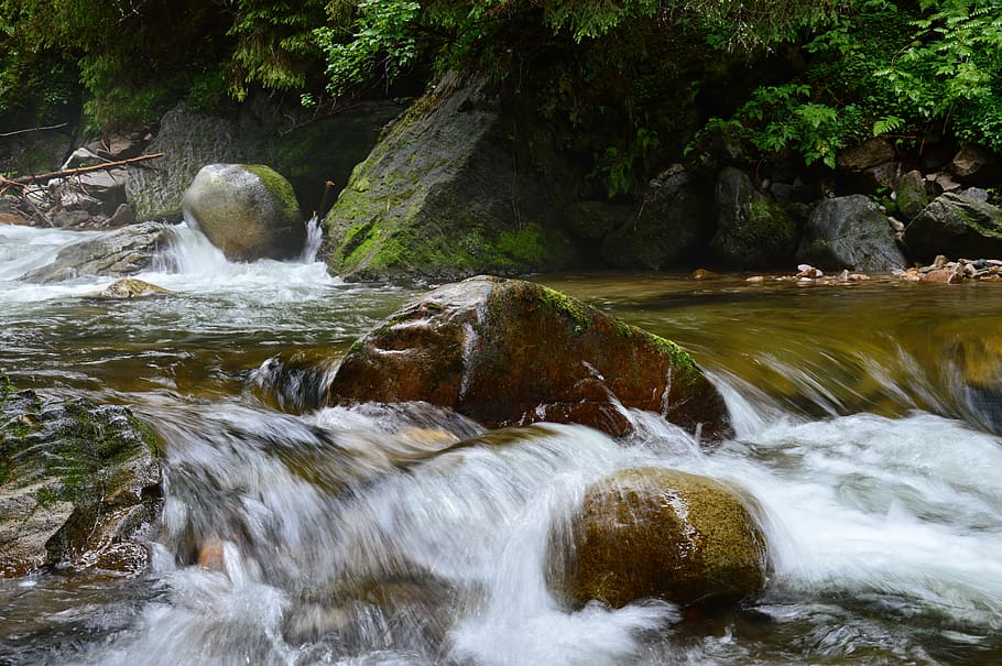 river, tatry, mountains, water, scenics - nature, motion, beauty in nature HD wallpaper