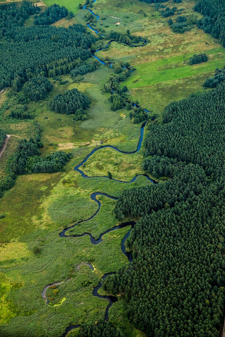 river, landscape, nature, green, poland, band, forest, aerial photo HD wallpaper