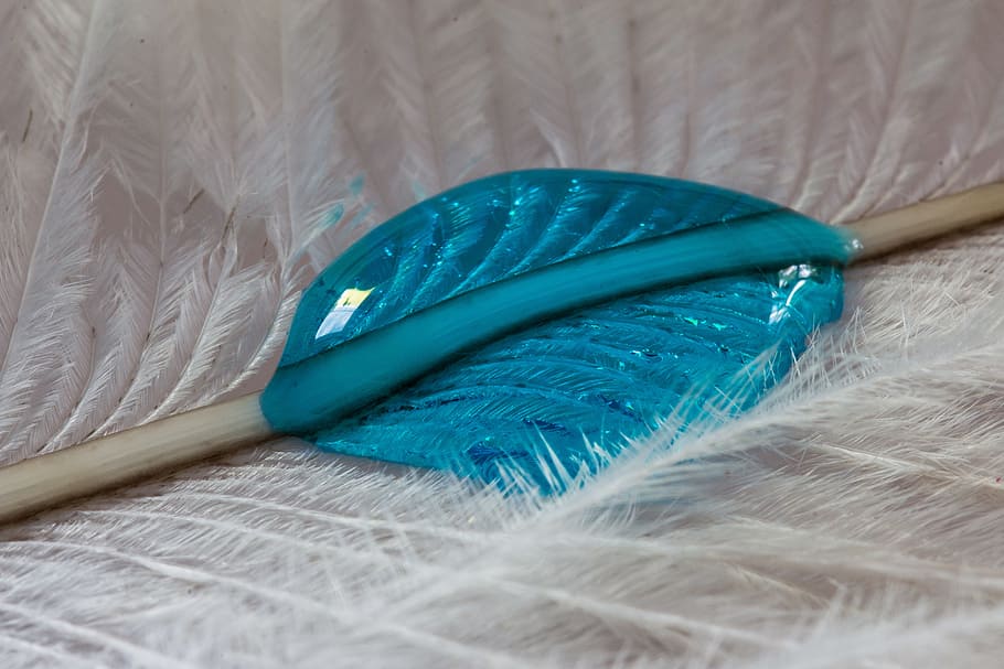 close photo of white feather, strauss spring, drip, macro, background HD wallpaper