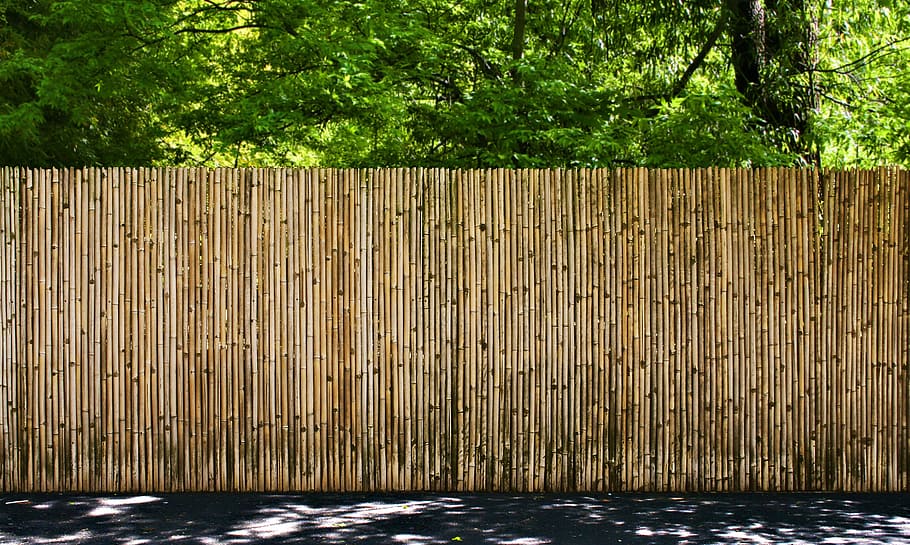 fence, bamboo, outdoors, security, garden, woods, forest, natural HD wallpaper