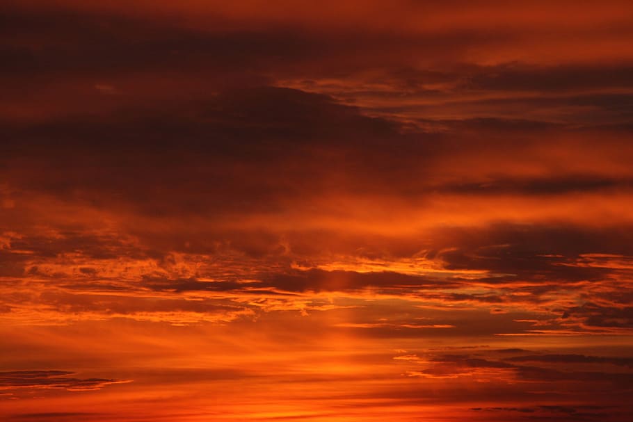 Sunset, Cloud, Fire, sky, red, in the evening, orange, dramatic sky HD wallpaper