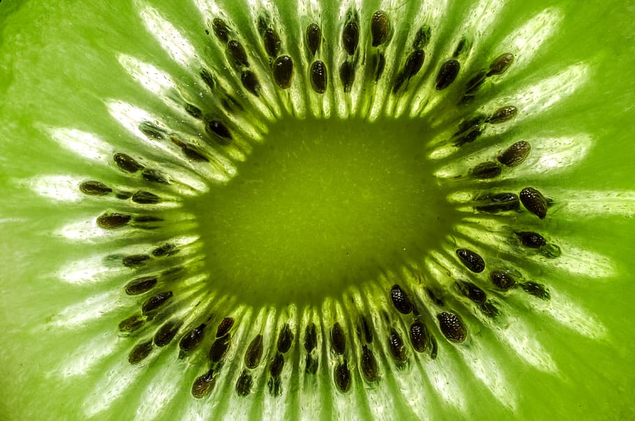 close-up photography of green kiwi, abstract, macro, fruit HD wallpaper