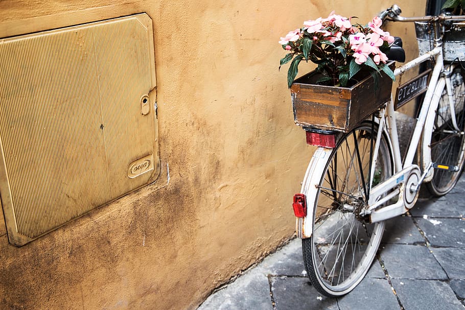 still, items, things, transportation, bicycle, wheels, flowers HD wallpaper