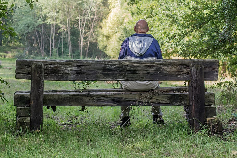 bank, rustic, wood, trees, nature, forest, seat, one person HD wallpaper