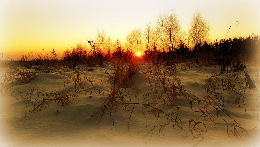 olkusz, poland, sunset, winter, sky, landscape, plant, tree, HD wallpaper