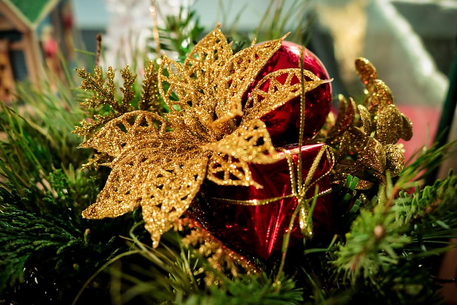 christmas, decoration, tree, winter, nature, season, celebration HD wallpaper